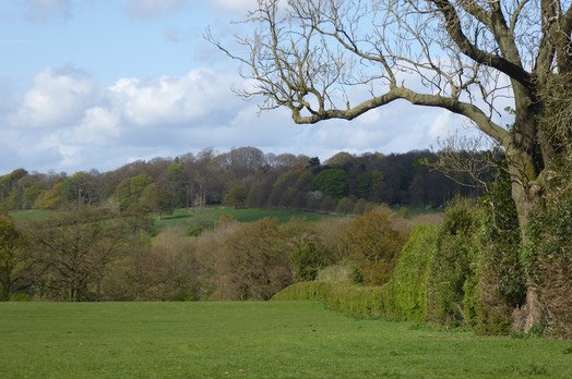 Photo of countryside, towards Shipley Park